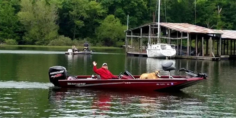 Lakeview Cottages & Marina