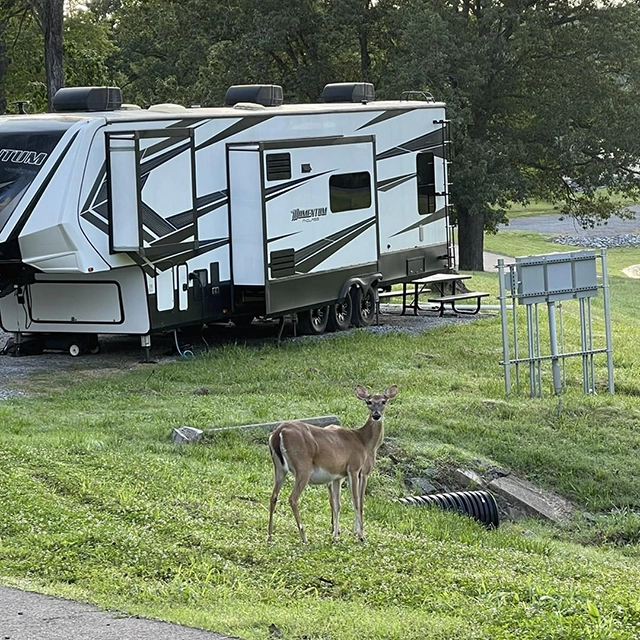 Big Bear Resort Campground