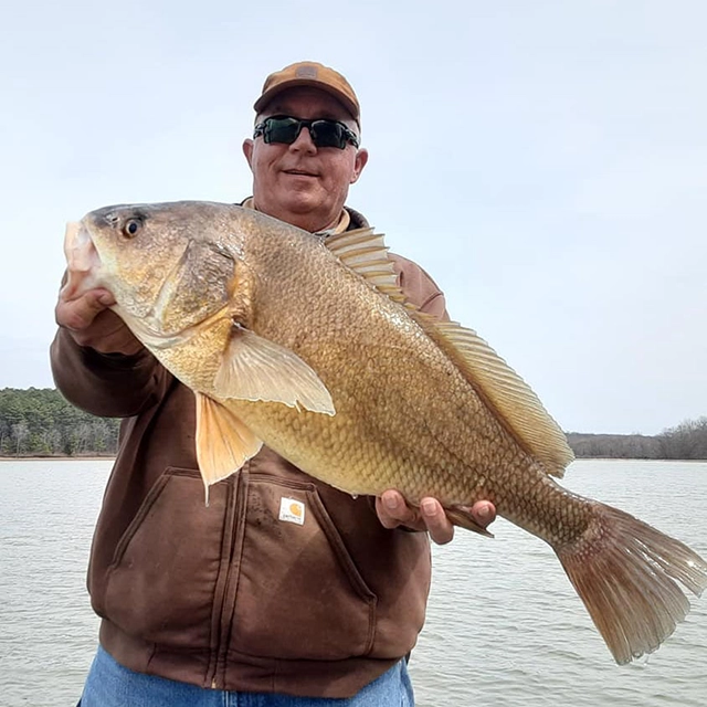 Captain Kirk's Guide Service