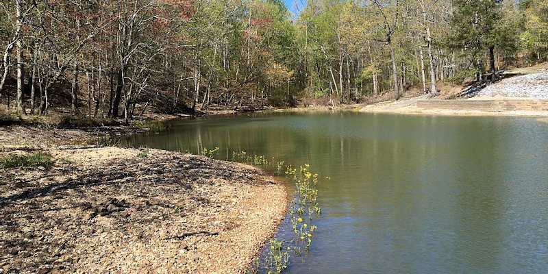 Shelter Point Retreat - North