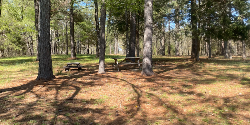 Studlee's RV Park