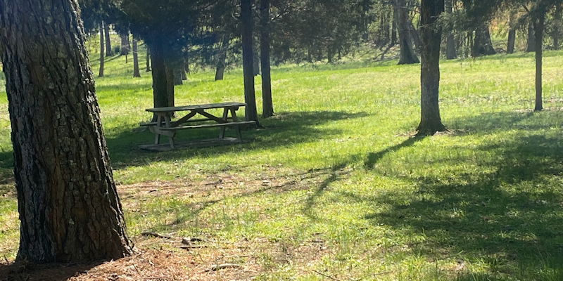 Studlee's RV Park
