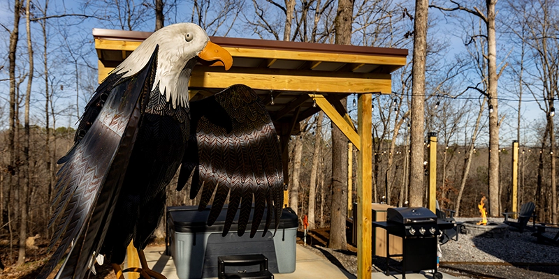 Warner's Paradise - Eagle Retreat