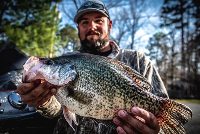 Cedar Ridge Guide Service
