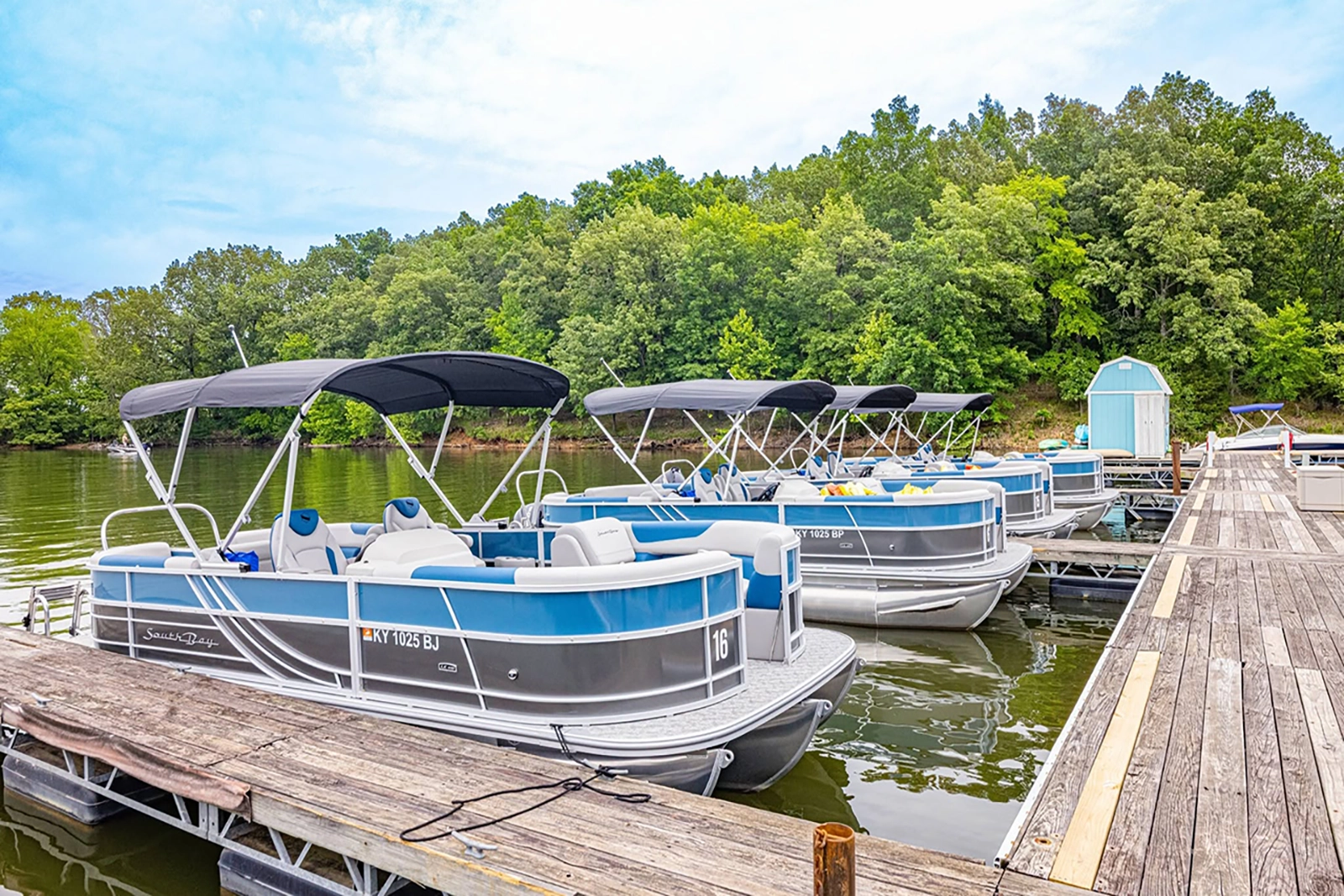 Green Turtle Bay Boat Rentals