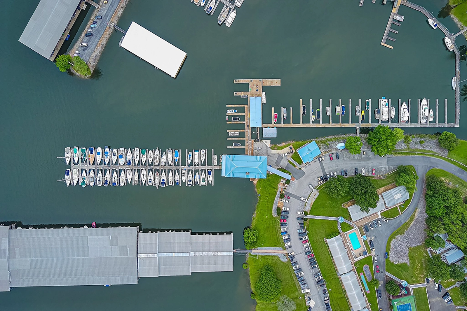 Green Turtle Bay Boat Rentals