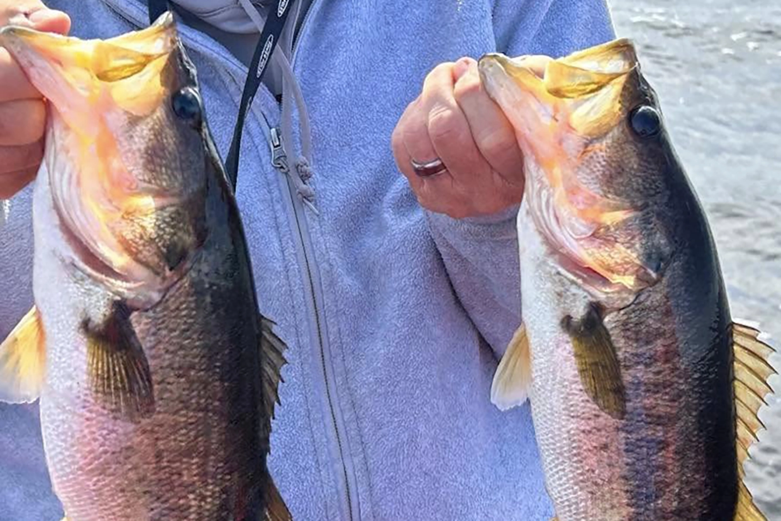 Kick'n Bass Guide Service