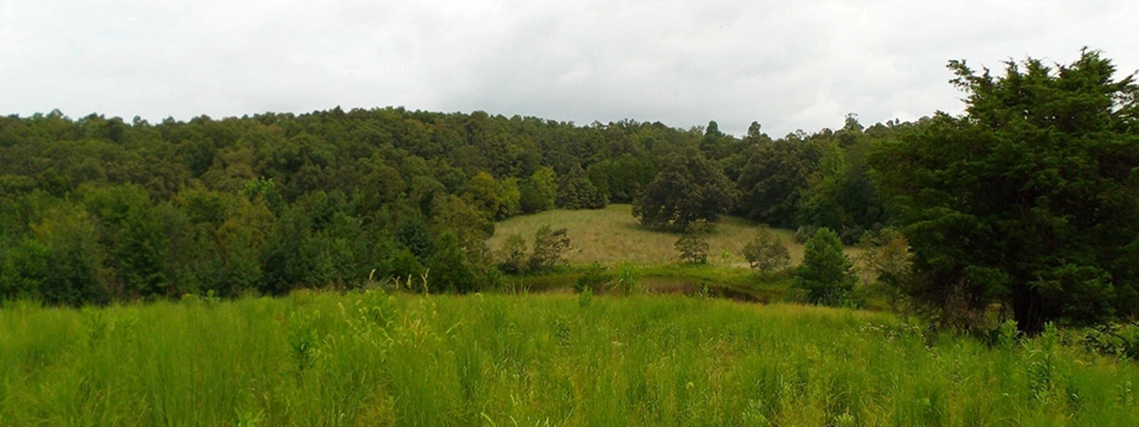 North-South Trail - North Section