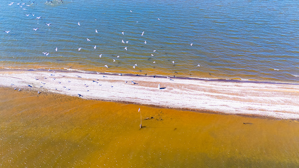 The Tombstone in the Lake: Uncovering the History of Cemetery Island