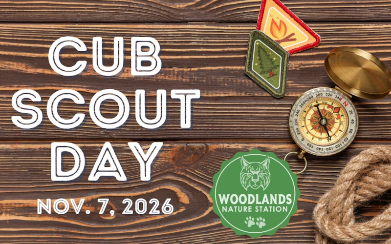 Club Scout Day at Woodlands Nature Station